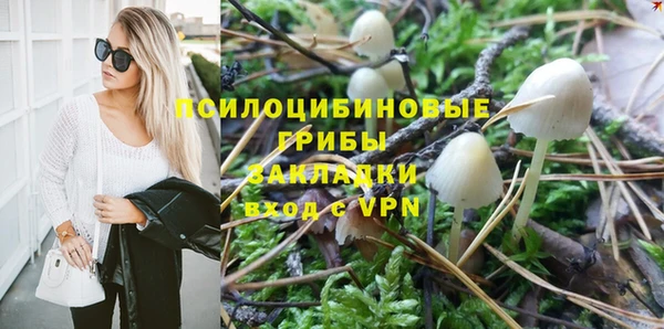 мдпв Покровск