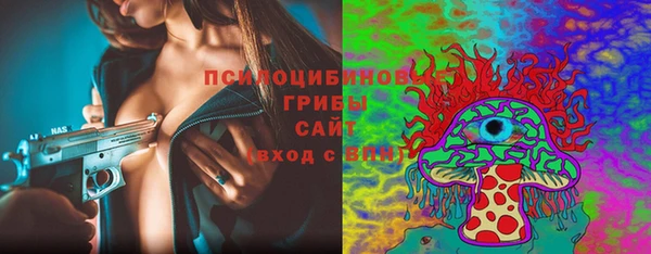 а пвп мука Абаза
