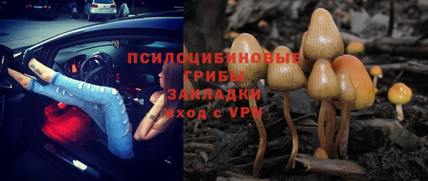а пвп мука Абаза